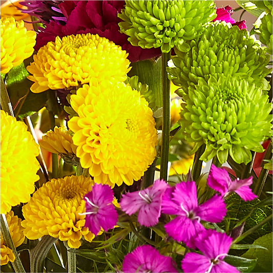 Bold & Bright – A Florist Original – CLARKSON FLOWERS & GIFTS, Mississauga ON