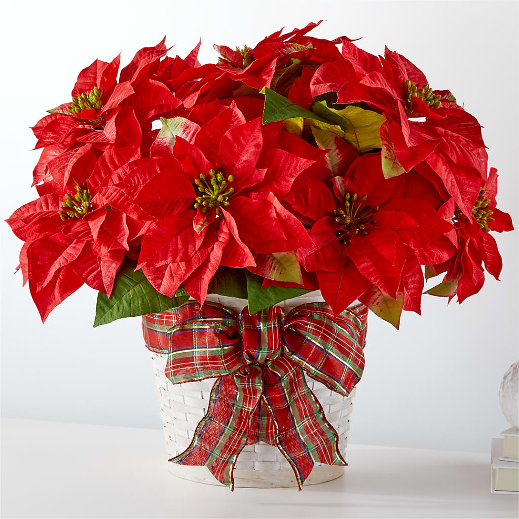 Happiest Holidays Poinsettia – CLARKSON FLOWERS & GIFTS, Mississauga ON