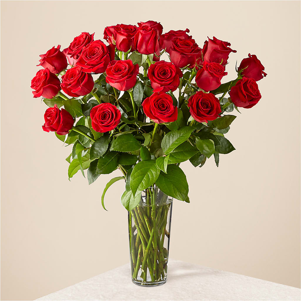 Long Stem Red Rose Bouquet – CLARKSON FLOWERS & GIFTS, Mississauga ON