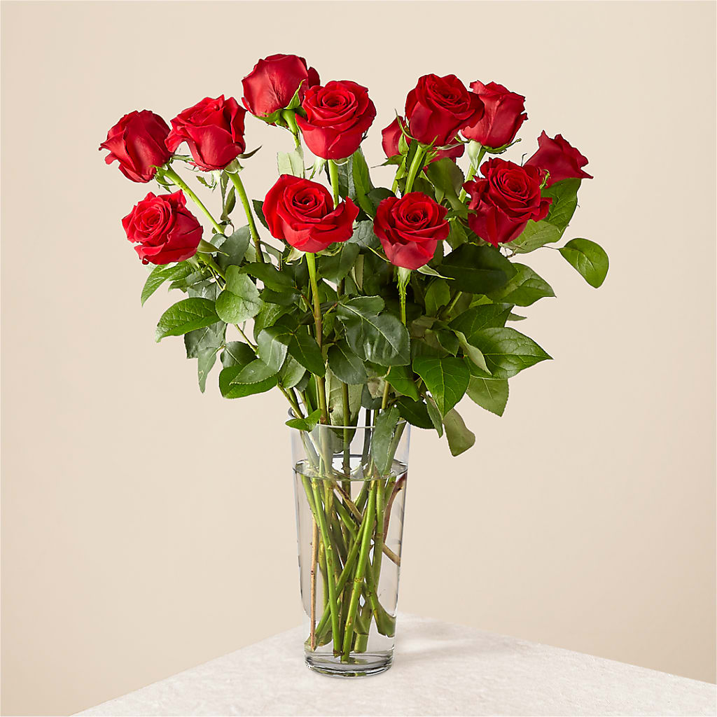 Long Stem Red Rose Bouquet – CLARKSON FLOWERS & GIFTS, Mississauga ON