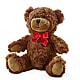 Adorable Plush Bear – CLARKSON FLOWERS & GIFTS, Mississauga ON