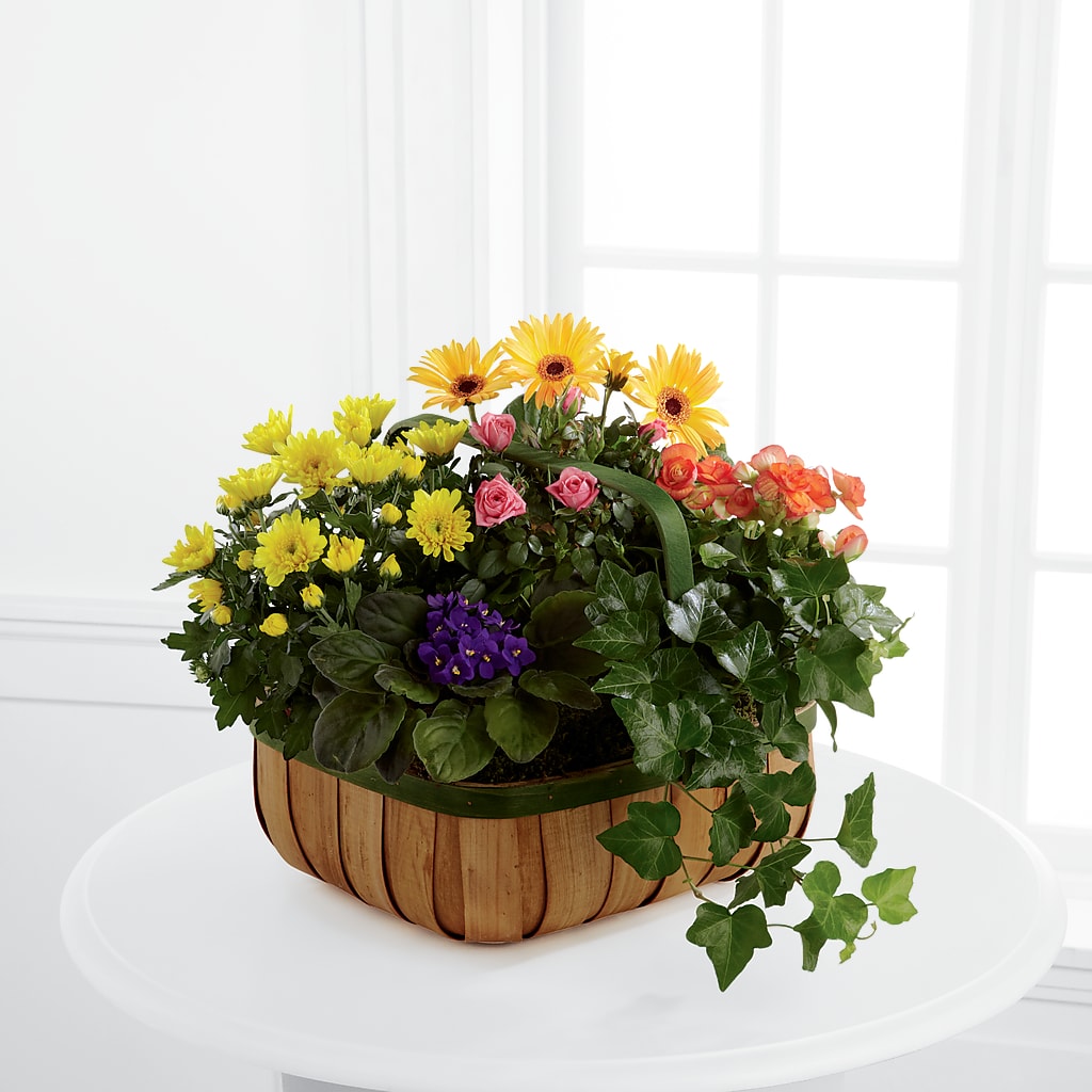 Gentle Blossoms Basket – CLARKSON FLOWERS & GIFTS, Mississauga ON