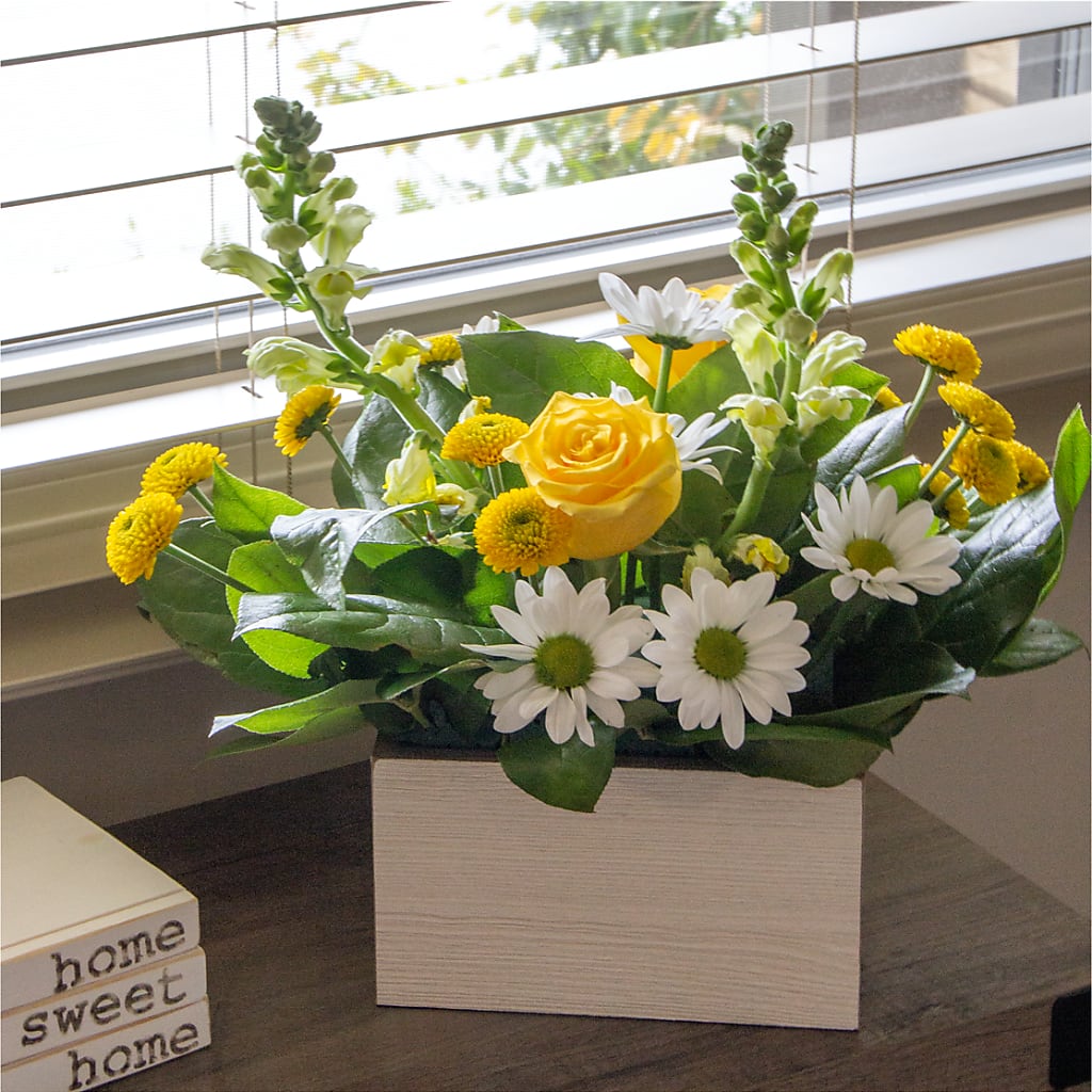 Sun Salutation Box Bouquet – CLARKSON FLOWERS & GIFTS, Mississauga ON