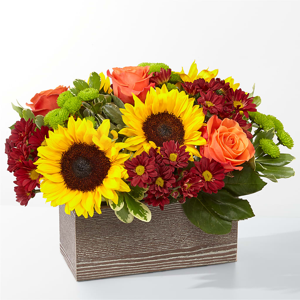 Happy Harvest Garden – CLARKSON FLOWERS & GIFTS, Mississauga ON