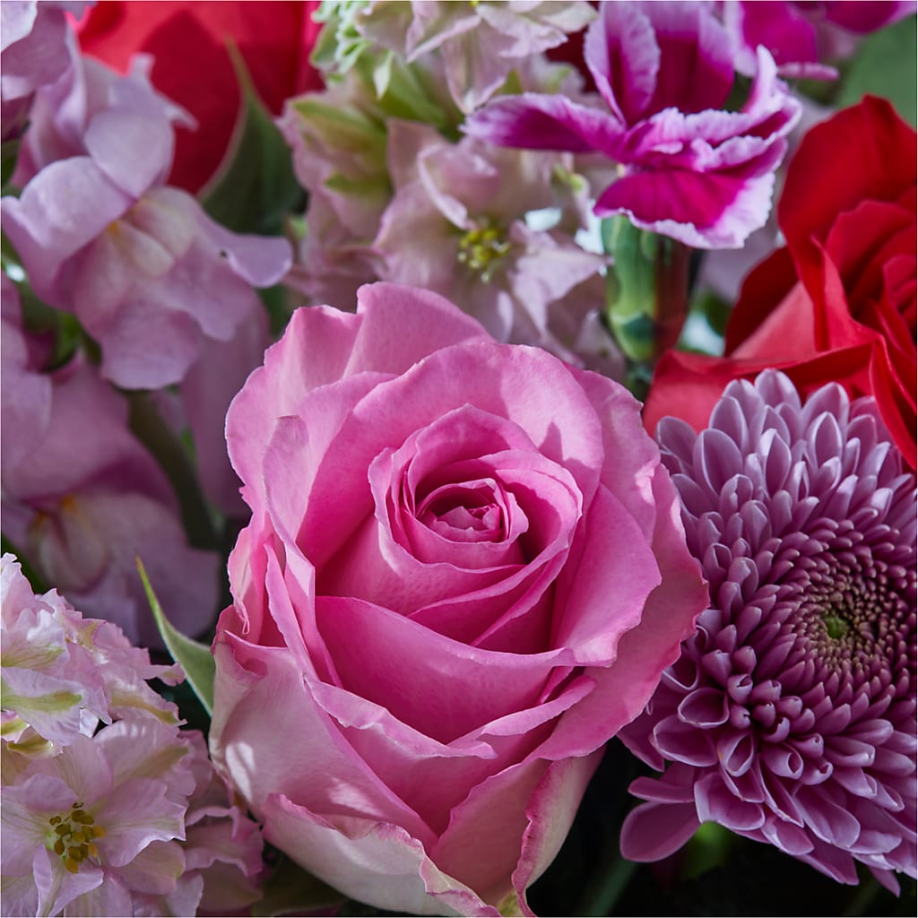 Better Together - A Luxury Florist Original – CLARKSON FLOWERS & GIFTS, Mississauga ON