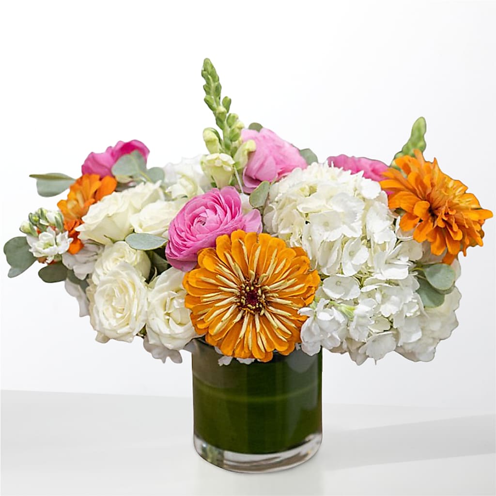 The Meet Cute – CLARKSON FLOWERS & GIFTS, Mississauga ON