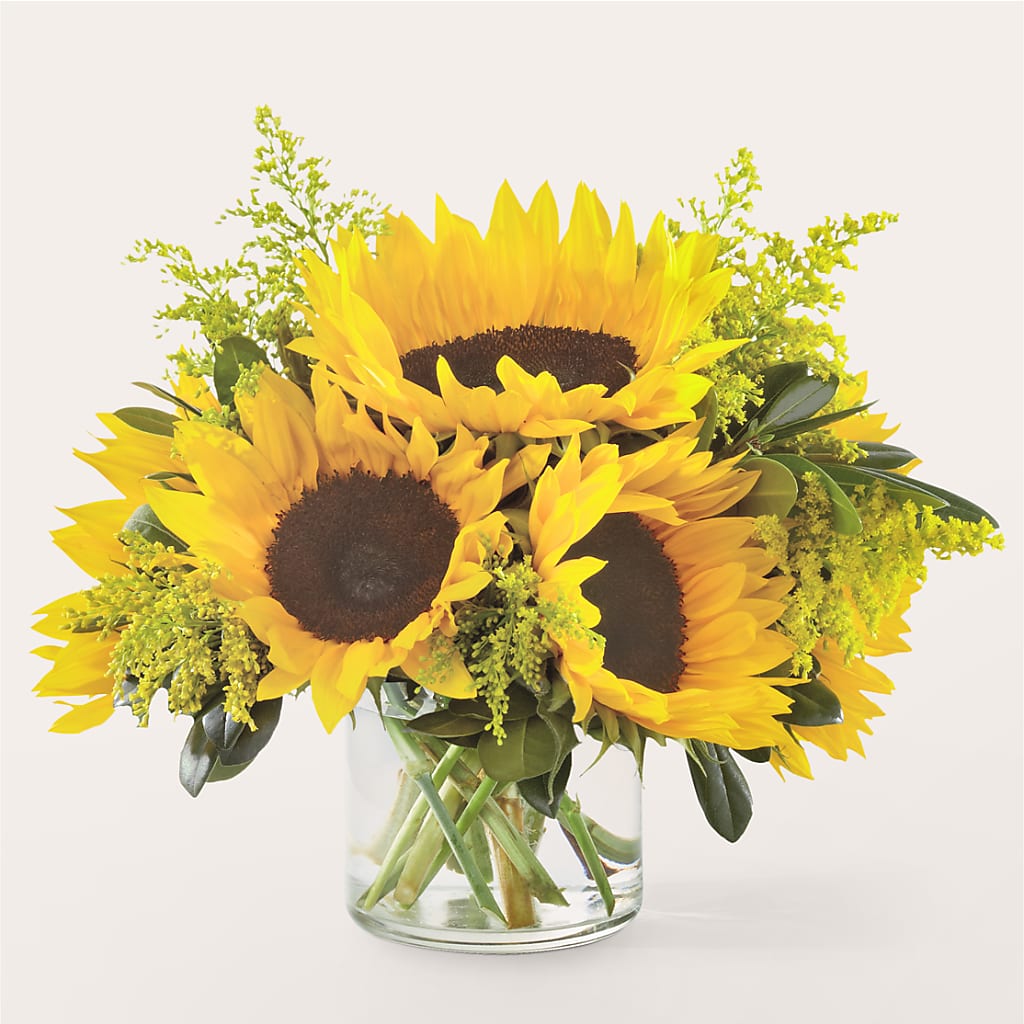 Beaming Sunflower Bouquet – CLARKSON FLOWERS & GIFTS, Mississauga ON