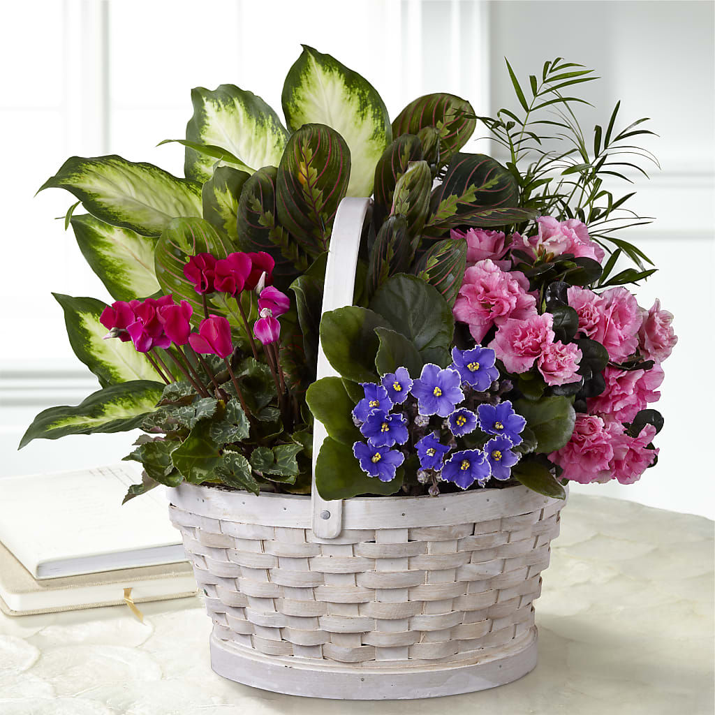 Peaceful Garden Planter – CLARKSON FLOWERS & GIFTS, Mississauga ON