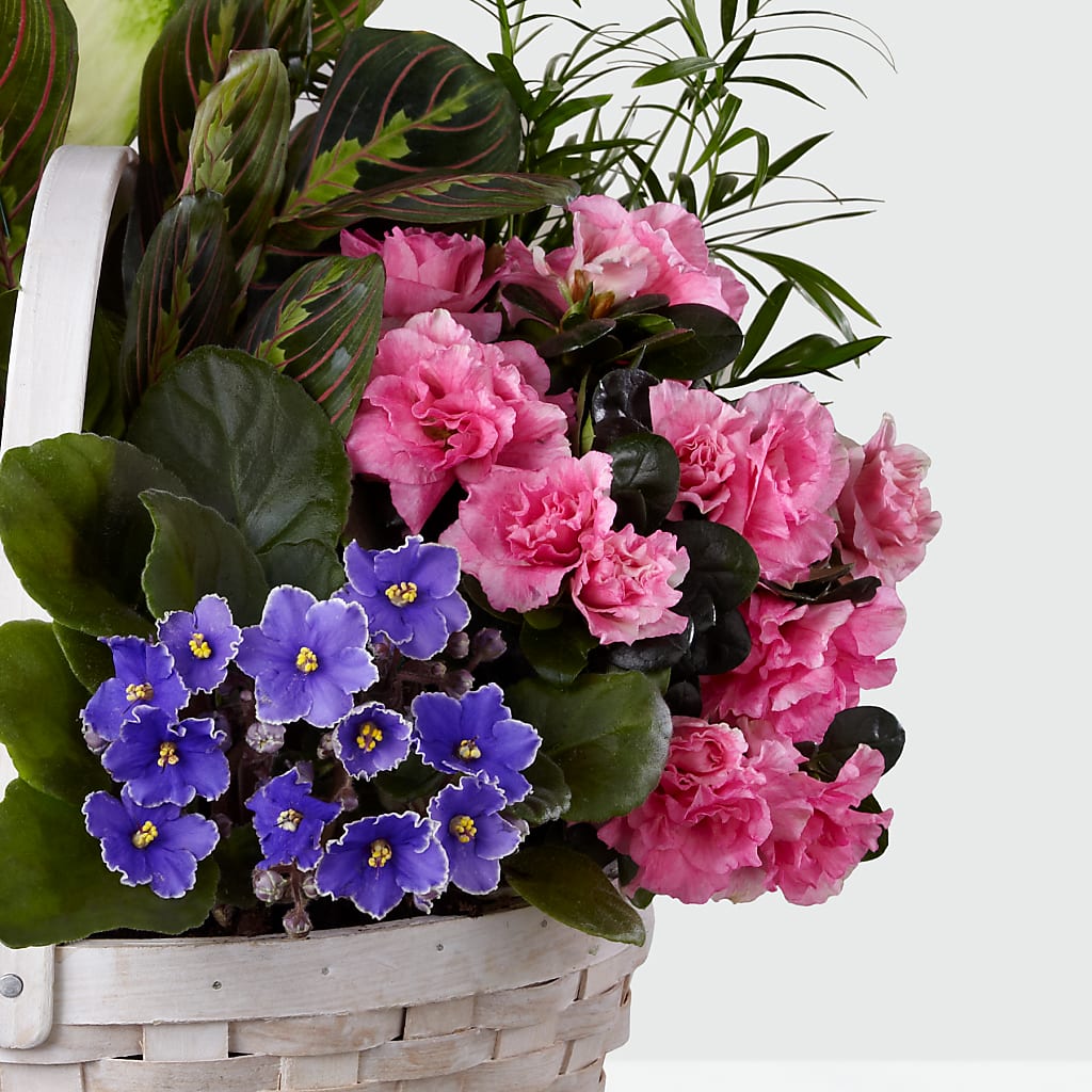 Peaceful Garden Planter – CLARKSON FLOWERS & GIFTS, Mississauga ON
