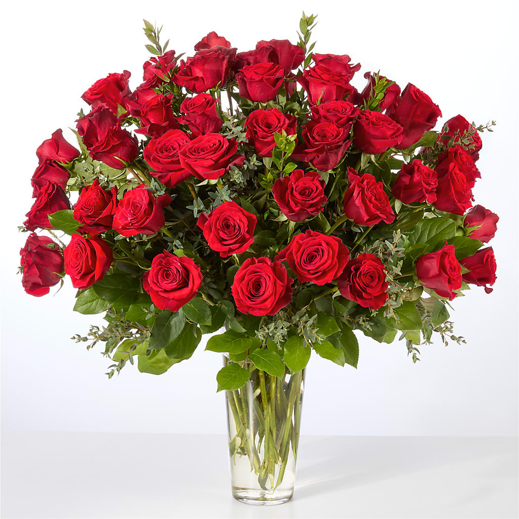 Forever Yours Fifty Stem Red Rose Bouquet – CLARKSON FLOWERS & GIFTS, Mississauga ON