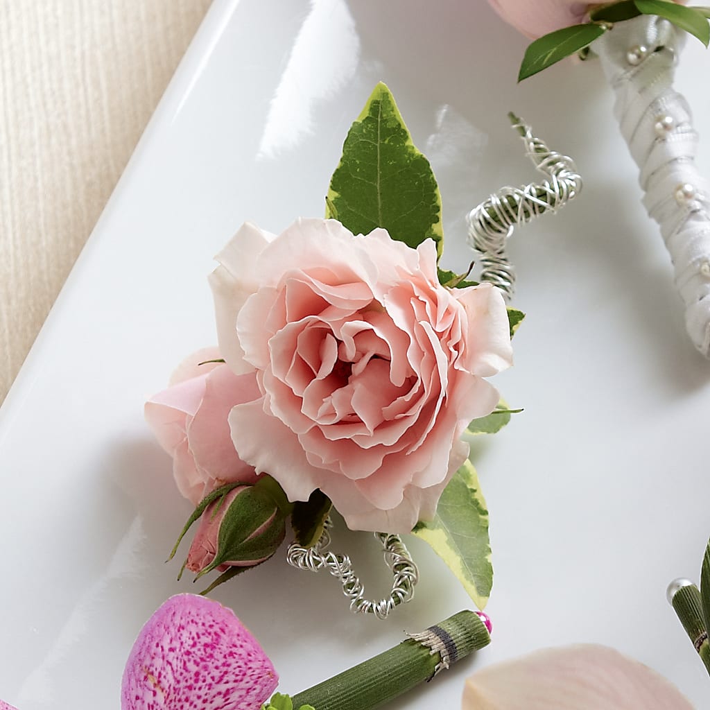 Pink Spray Rose Boutonniere – CLARKSON FLOWERS & GIFTS, Mississauga ON