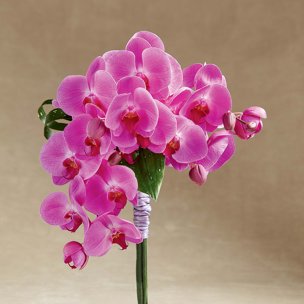 Glorious Bouquet – CLARKSON FLOWERS & GIFTS, Mississauga ON