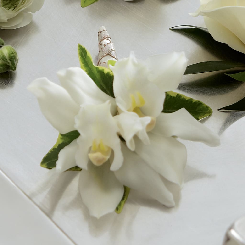 White Mini Cymbidium Boutonniere – CLARKSON FLOWERS & GIFTS, Mississauga ON