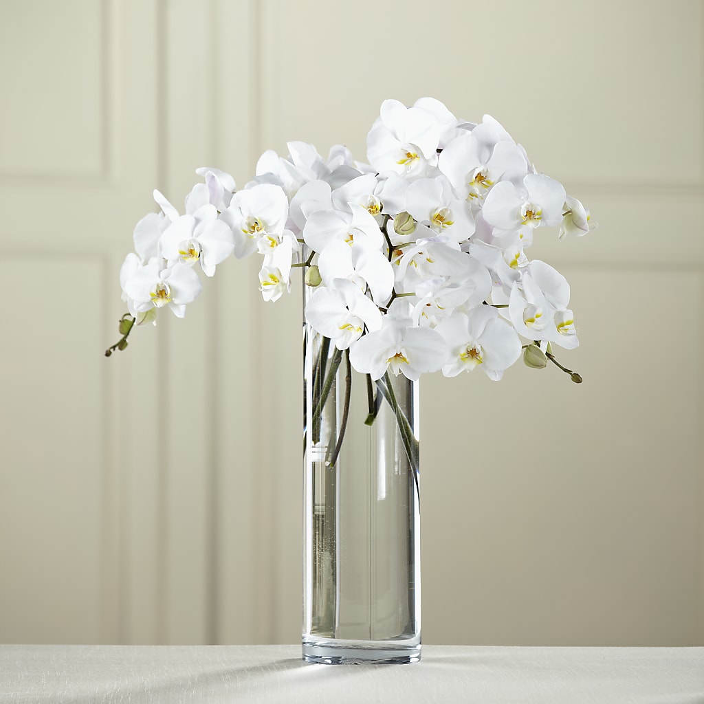 White Phalaenopsis Bouquet – CLARKSON FLOWERS & GIFTS, Mississauga ON