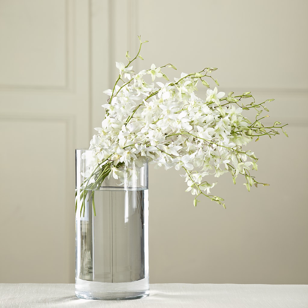 White Dendrobium Bouquet – CLARKSON FLOWERS & GIFTS, Mississauga ON