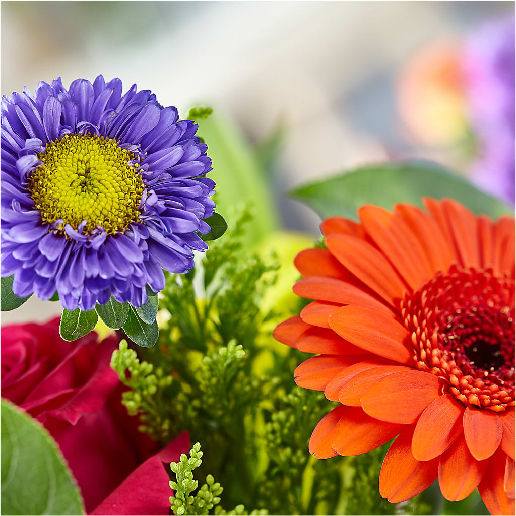 Bold & Bright – A Florist Original – CLARKSON FLOWERS & GIFTS, Mississauga ON