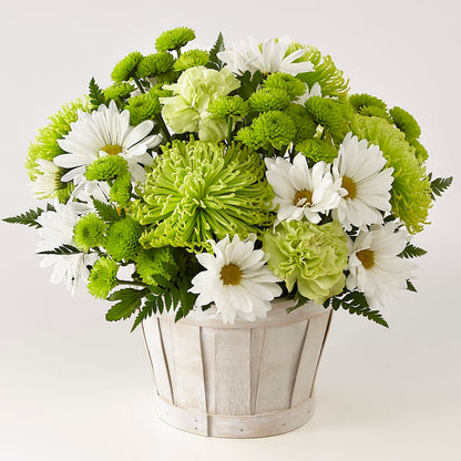 Lucky Charm Basket (Standard) – CLARKSON FLOWERS & GIFTS, Mississauga ON