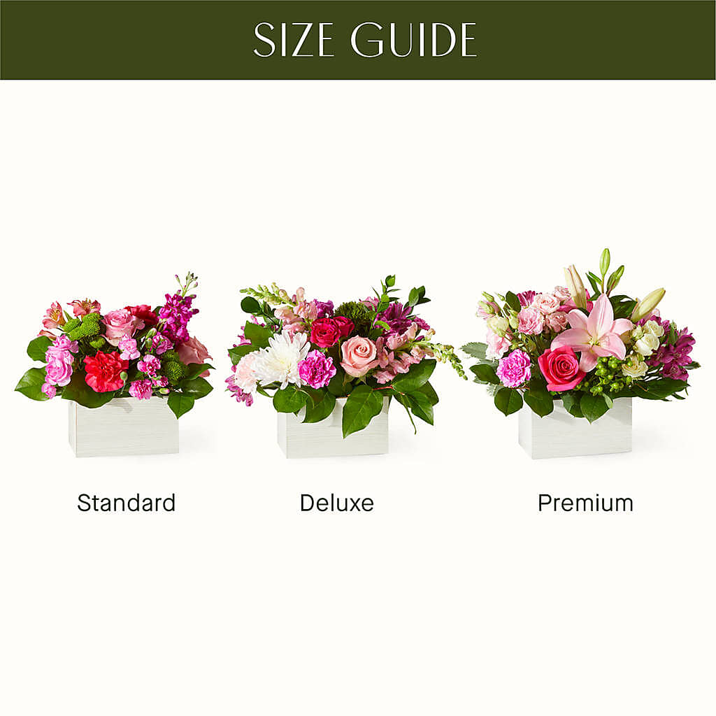 Sweetberry Box – A Florist Original – CLARKSON FLOWERS & GIFTS, Mississauga ON