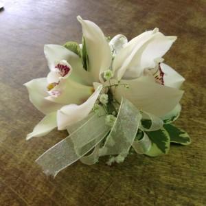 CFW-108 – CLARKSON FLOWERS & GIFTS, Mississauga ON