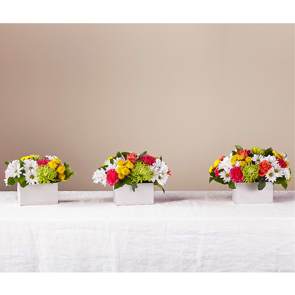 Sorbet Bouquet – CLARKSON FLOWERS & GIFTS, Mississauga ON