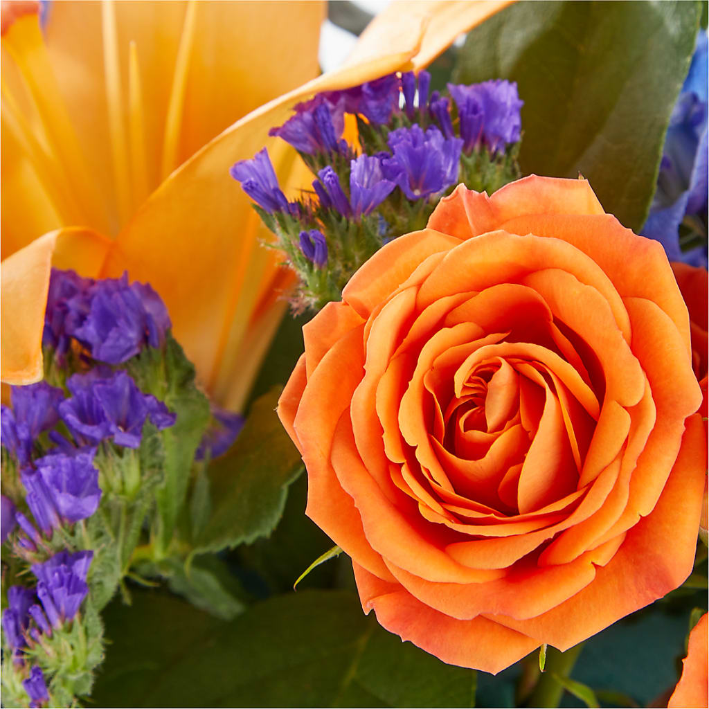 Radiant Citrus Box Bouquet – CLARKSON FLOWERS & GIFTS, Mississauga ON