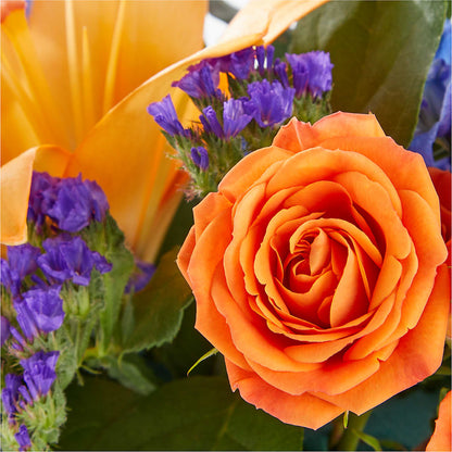 Radiant Citrus Box Bouquet – CLARKSON FLOWERS & GIFTS, Mississauga ON