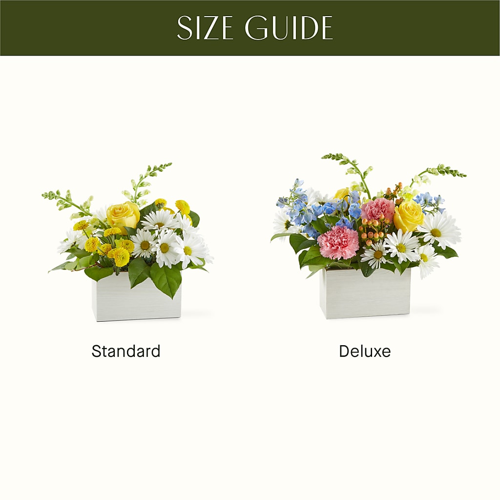 Sun Salutation Box Bouquet – CLARKSON FLOWERS & GIFTS, Mississauga ON
