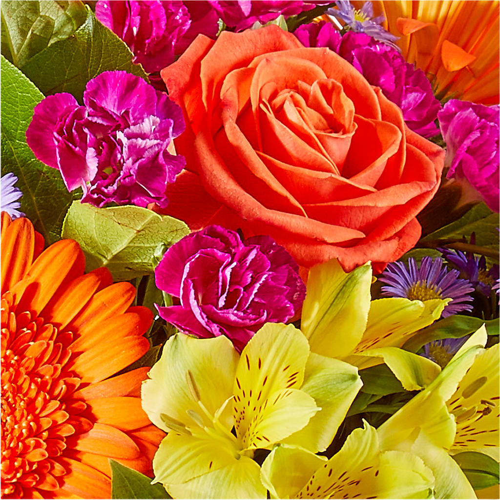 Tricks & Treats Pumpkin – CLARKSON FLOWERS & GIFTS, Mississauga ON