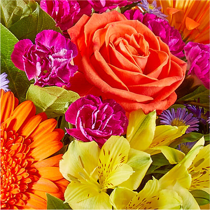 Tricks & Treats Pumpkin – CLARKSON FLOWERS & GIFTS, Mississauga ON