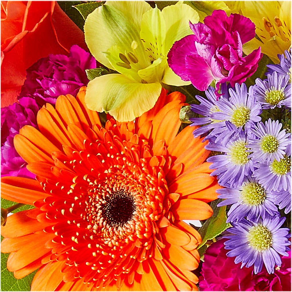 Tricks & Treats Pumpkin – CLARKSON FLOWERS & GIFTS, Mississauga ON