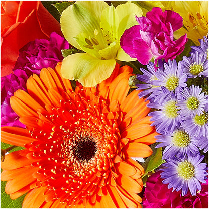 Tricks & Treats Pumpkin – CLARKSON FLOWERS & GIFTS, Mississauga ON