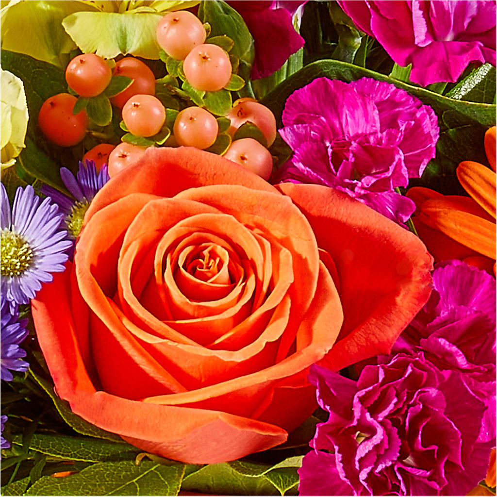 Tricks & Treats Pumpkin – CLARKSON FLOWERS & GIFTS, Mississauga ON