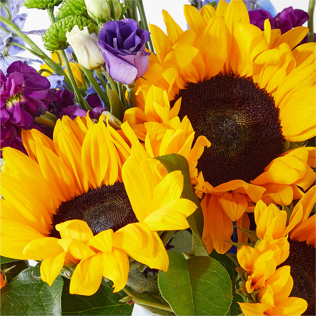 Catching Rays Bouquet – CLARKSON FLOWERS & GIFTS, Mississauga ON
