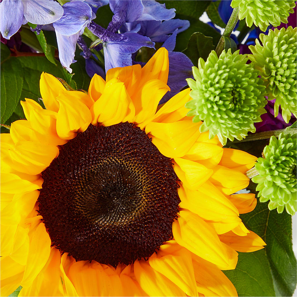 Catching Rays Bouquet – CLARKSON FLOWERS & GIFTS, Mississauga ON
