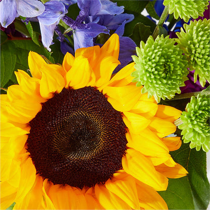 Catching Rays Bouquet – CLARKSON FLOWERS & GIFTS, Mississauga ON