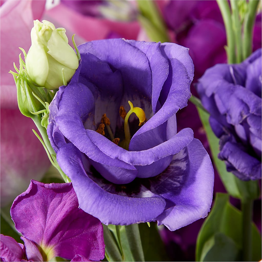 Twilight Glow Bouquet – CLARKSON FLOWERS & GIFTS, Mississauga ON