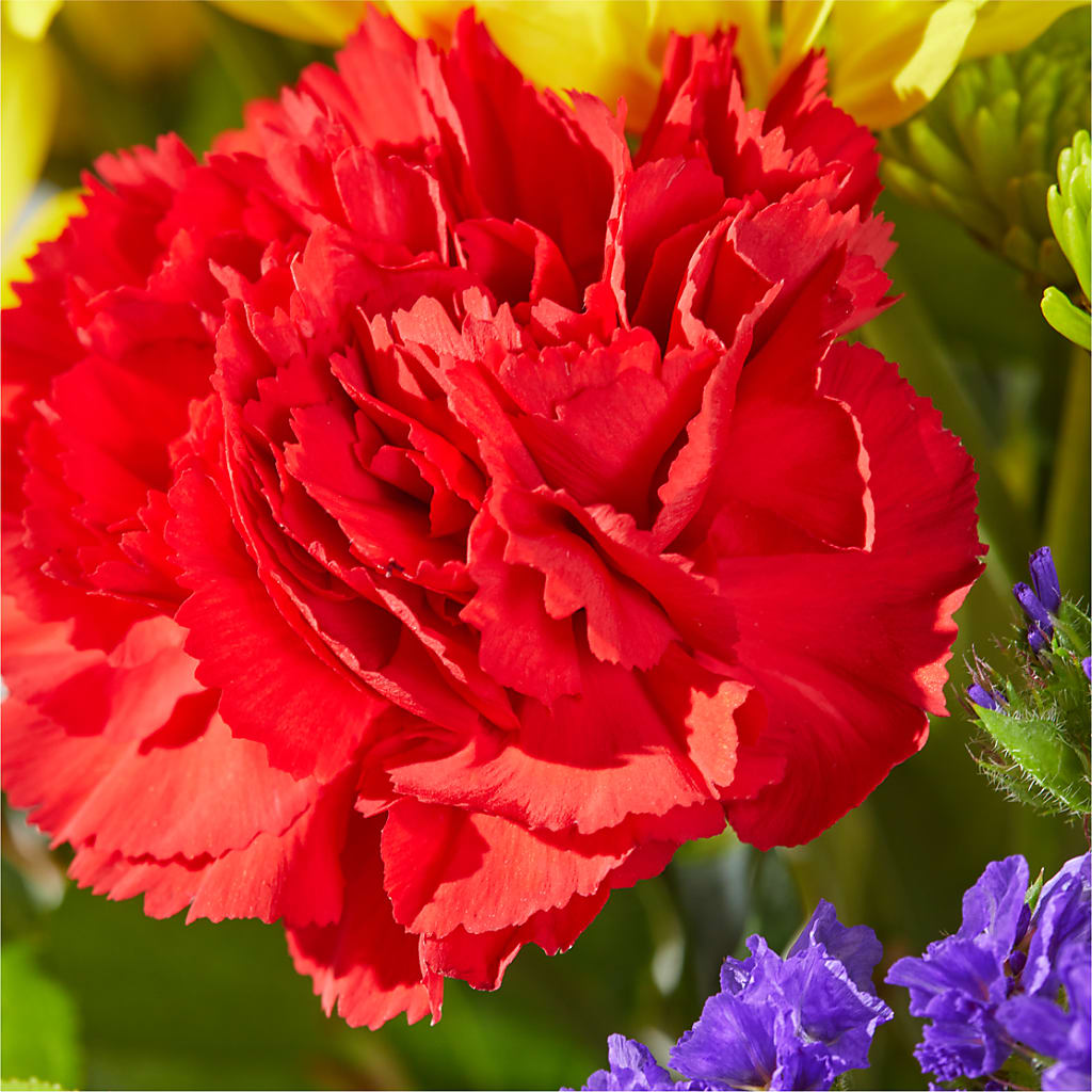 Brighter Days Bouquet – CLARKSON FLOWERS & GIFTS, Mississauga ON
