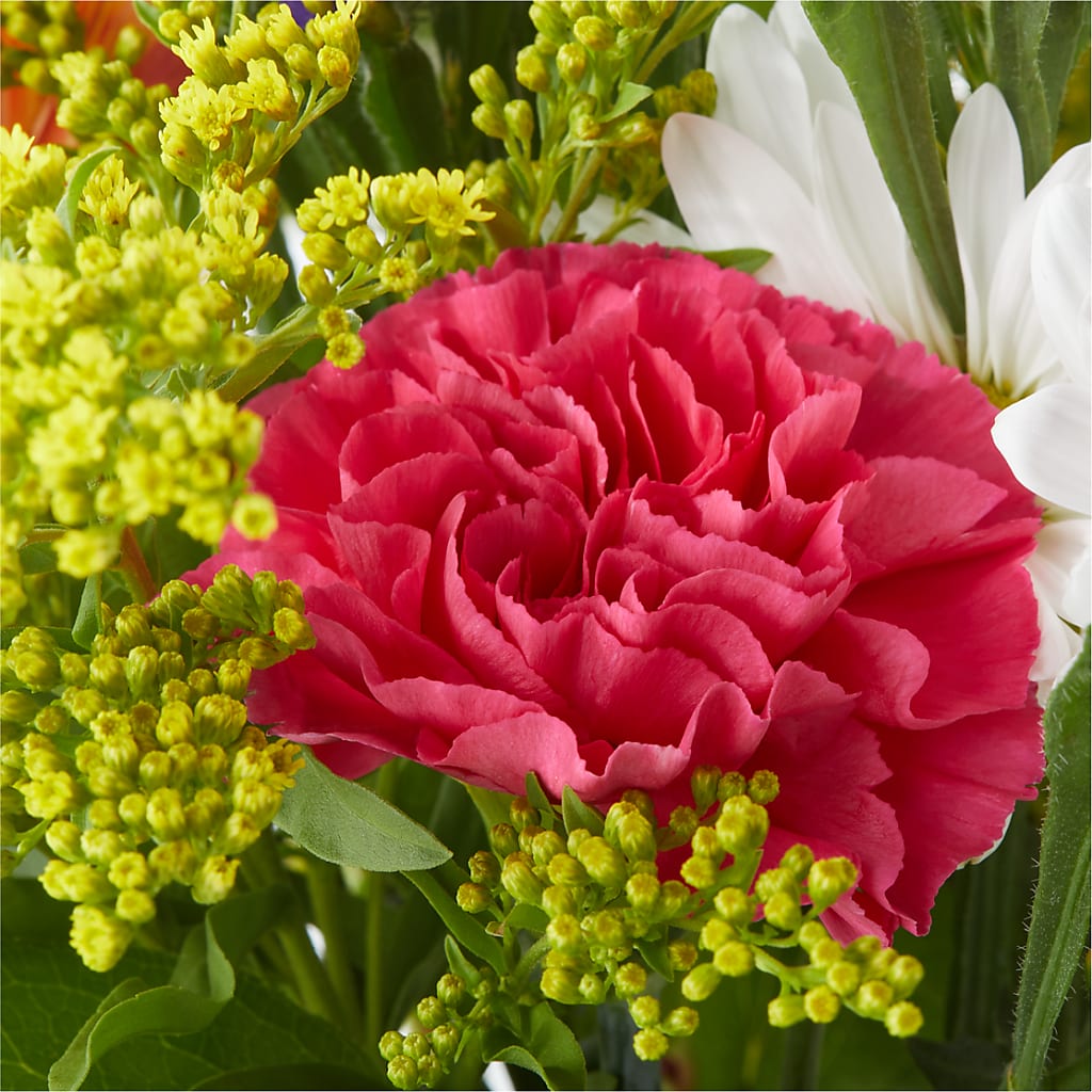 Oopsie Daisy Bouquet – CLARKSON FLOWERS & GIFTS, Mississauga ON