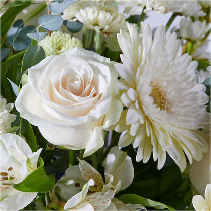 New Beginnings – A Florist Original – CLARKSON FLOWERS & GIFTS, Mississauga ON