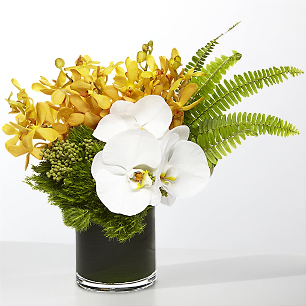 The Tropics – CLARKSON FLOWERS & GIFTS, Mississauga ON