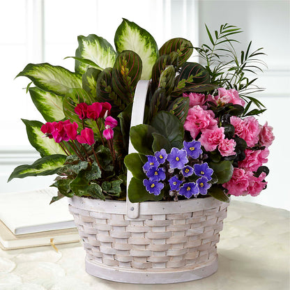 Peaceful Garden Planter – CLARKSON FLOWERS & GIFTS, Mississauga ON