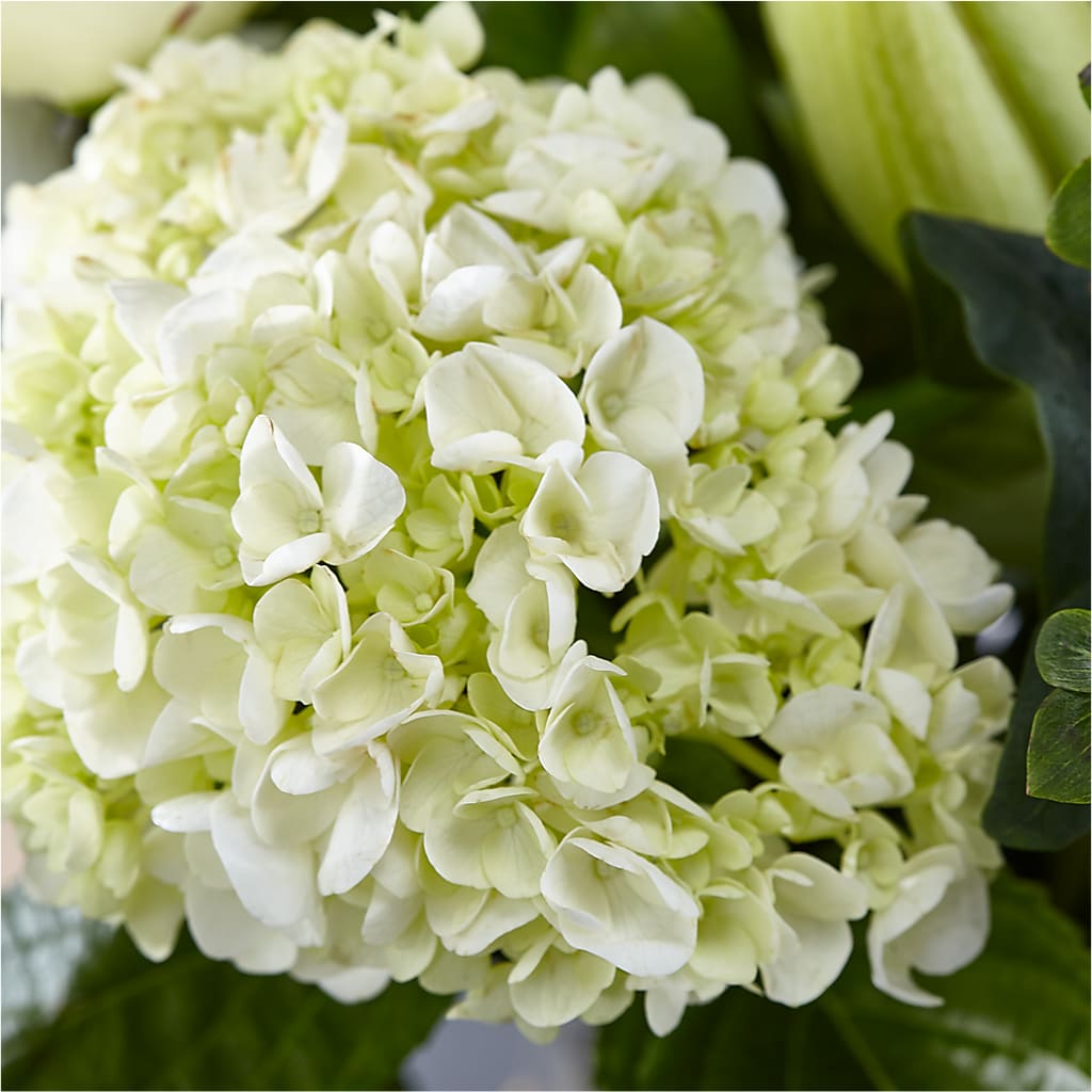 Classic Ivory – A Florist Original – CLARKSON FLOWERS & GIFTS, Mississauga ON