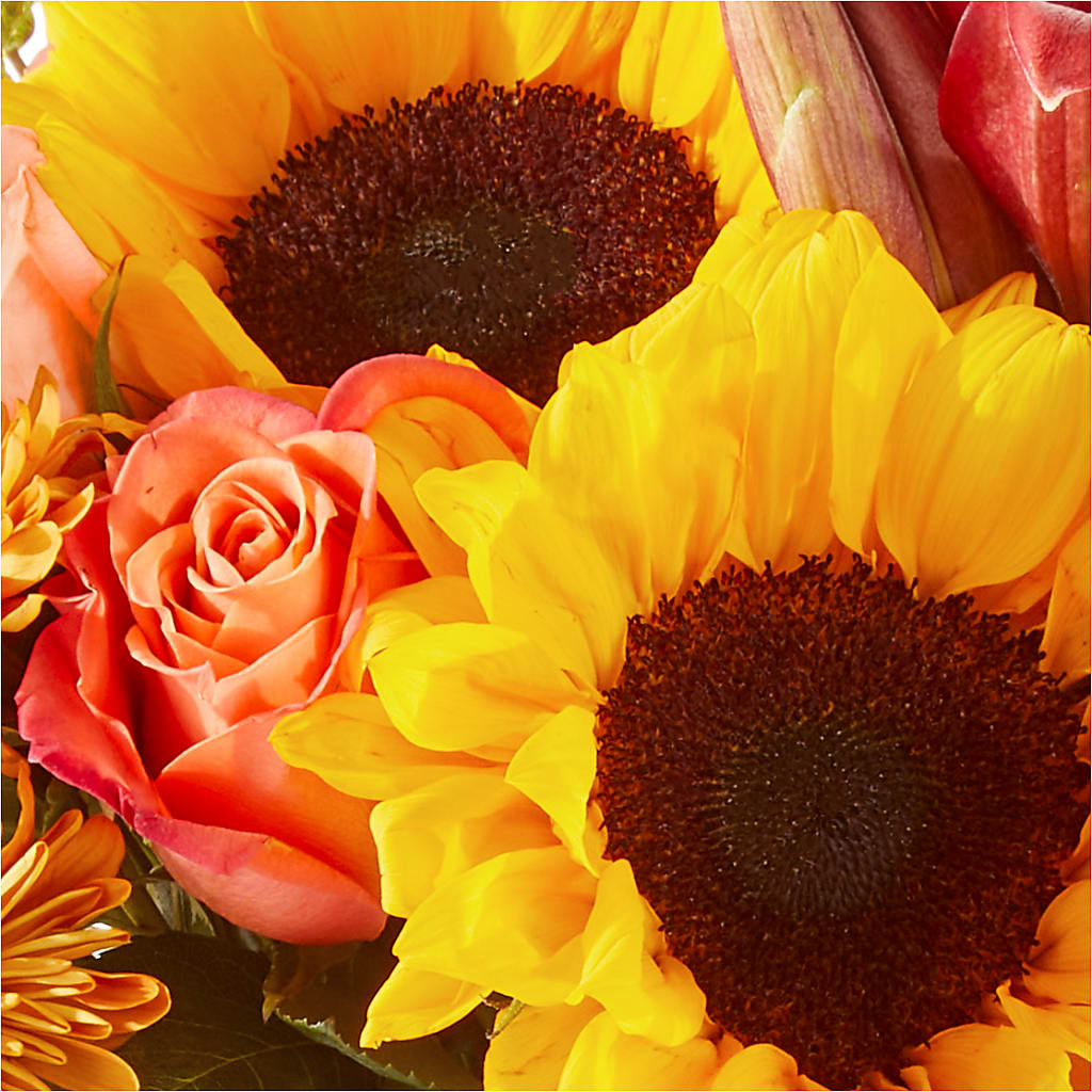 Acorn Lane Bouquet – CLARKSON FLOWERS & GIFTS, Mississauga ON