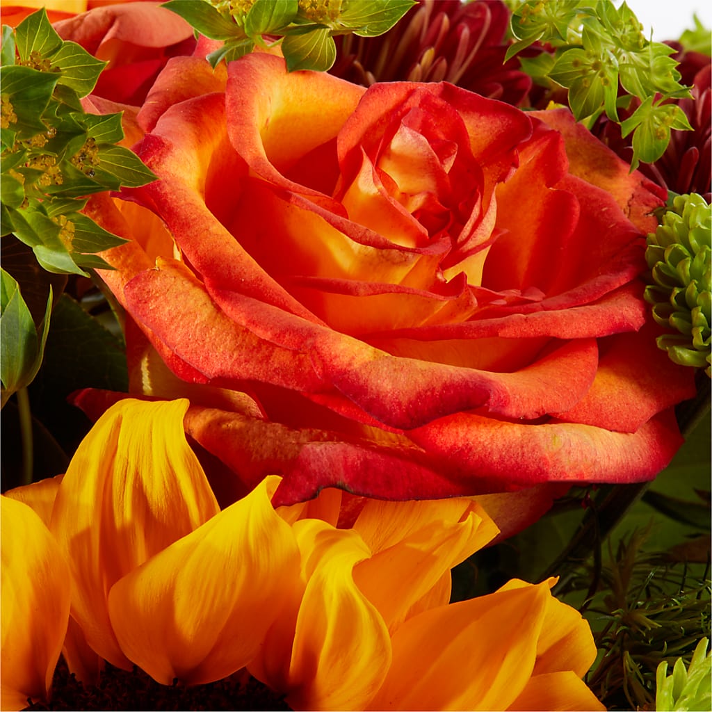Harvest Festival Bouquet – CLARKSON FLOWERS & GIFTS, Mississauga ON