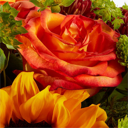 Harvest Festival Bouquet – CLARKSON FLOWERS & GIFTS, Mississauga ON
