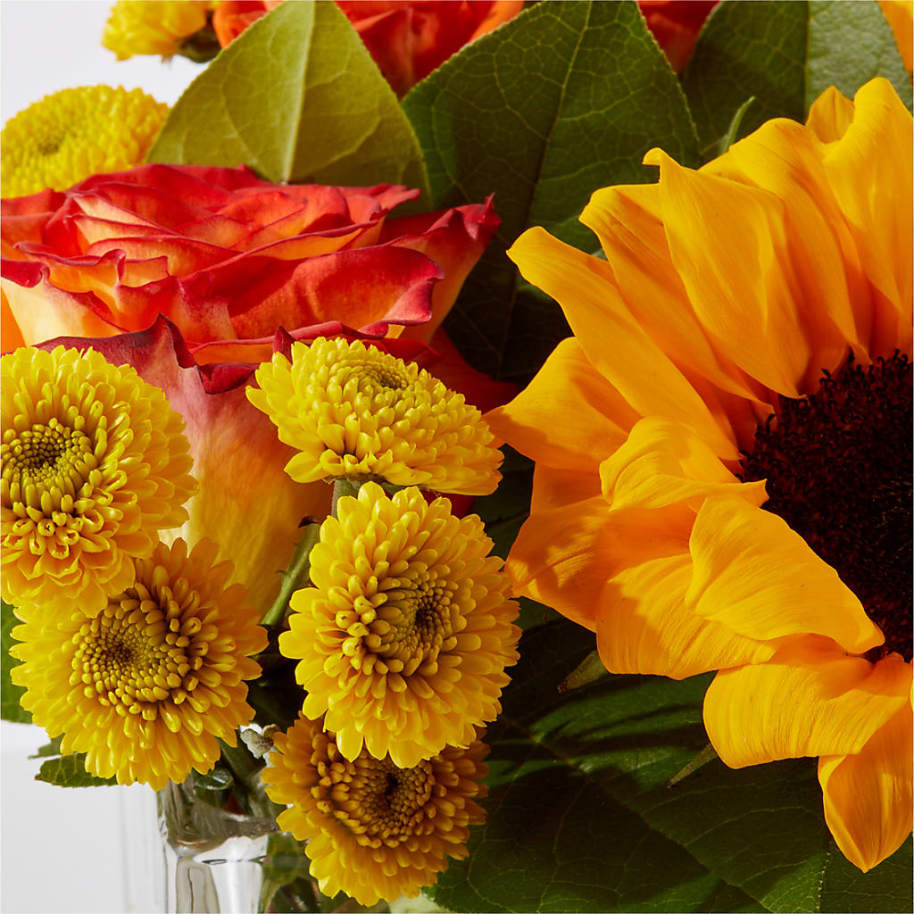 Picnic in the Park Bouquet – CLARKSON FLOWERS & GIFTS, Mississauga ON
