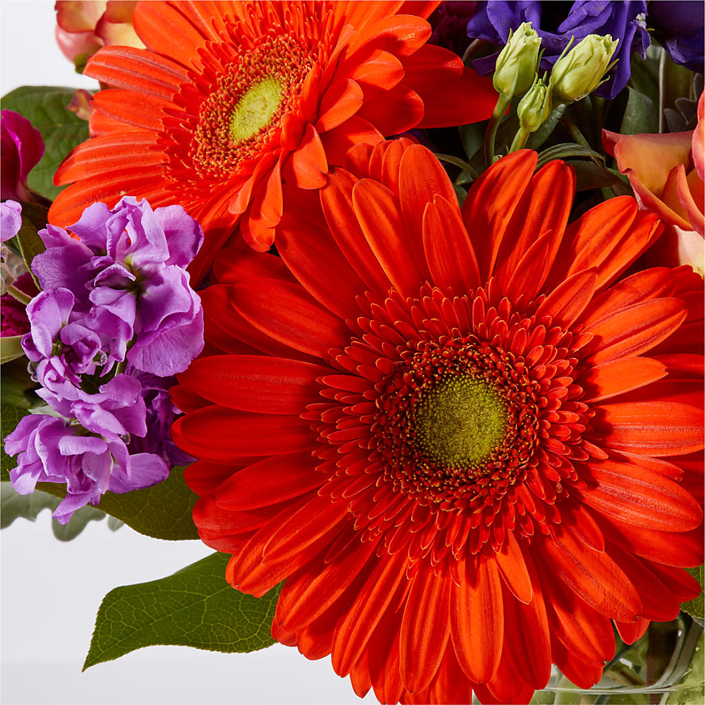 Sangria Bouquet – CLARKSON FLOWERS & GIFTS, Mississauga ON