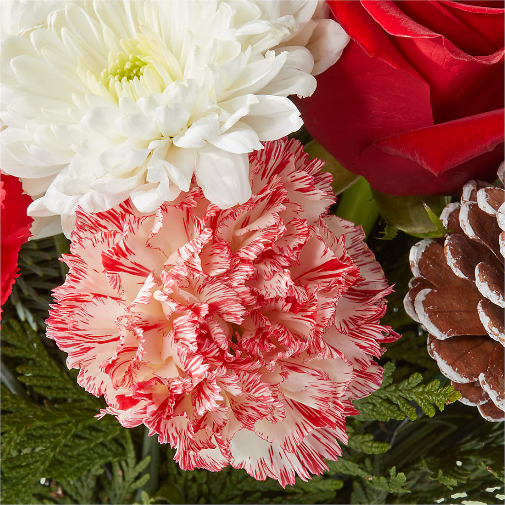 Candy Cane Lane Bouquet – CLARKSON FLOWERS & GIFTS, Mississauga ON