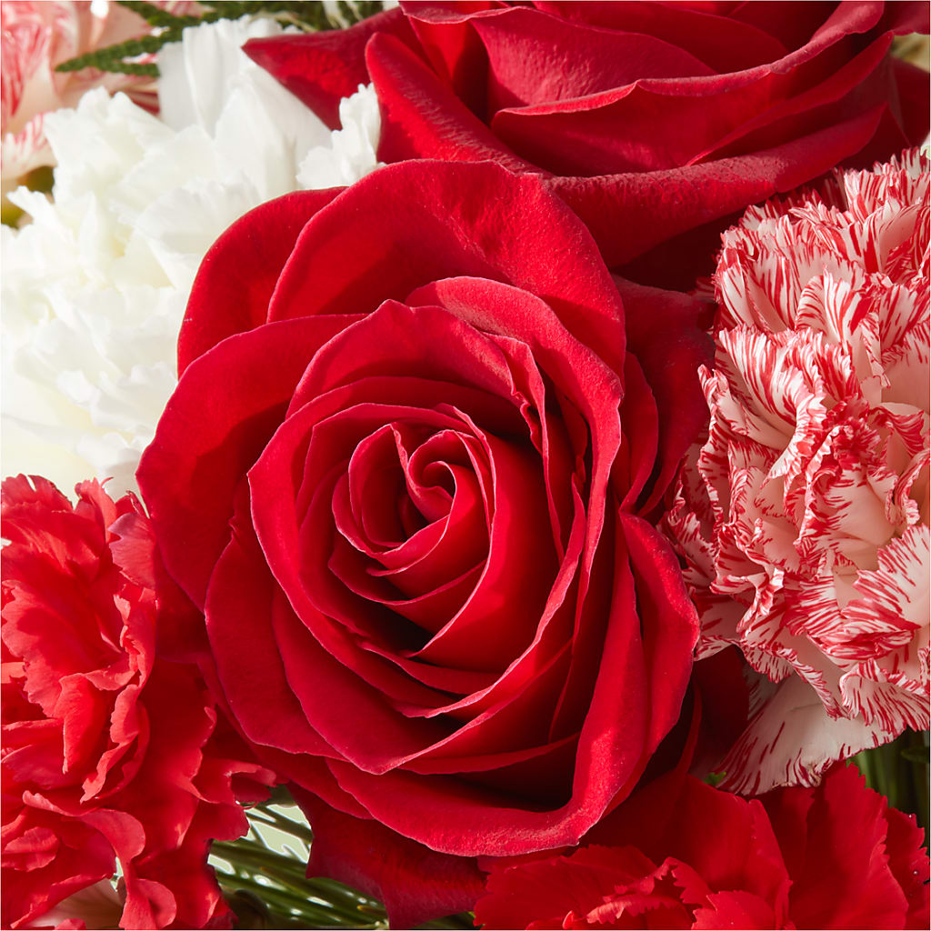 Candy Cane Lane Bouquet – CLARKSON FLOWERS & GIFTS, Mississauga ON