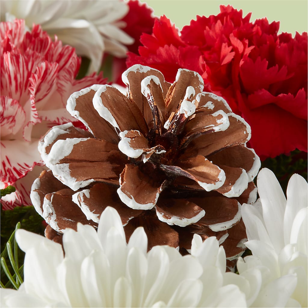 Candy Cane Lane Bouquet – CLARKSON FLOWERS & GIFTS, Mississauga ON